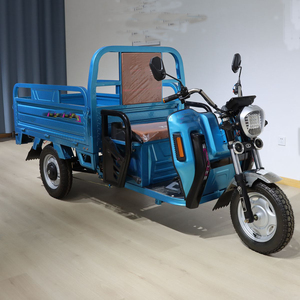 2024 Three-Wheeled Tricycle <b>Box</b> Steel Material Manufactured Motorcycle - Product Image 6