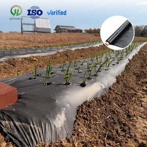 Film <span class=keywords><strong>de</strong></span> paillage noir anti-mauvaises herbes Hengrun, résistant aux UV, en plastique agricole, pour la suppression des adventices et la culture <span class=keywords><strong>de</strong></span> légumes - Product Image 1
