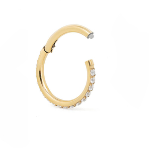 Nuovo Arrivo Eterna Metallo ASTM F136 Titanio Incernierato Segmento Clicker <span class=keywords><strong>Oro</strong></span> Anello Al Naso <span class=keywords><strong>Piercing</strong></span> <span class=keywords><strong>Trago</strong></span> Dell'orecchio - Product Image 2
