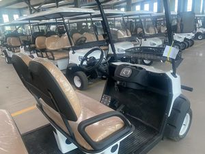 Camionnette Électrique Personnalisée EC à 2 Places pour la Livraison de Repas – Véhicule de Service Alimentaire pour Voies Privées - Product Image 6