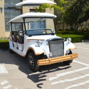 Venta Directa de Fábrica, Alta Calidad a Bajo Precio, Auto Clásico para Turismo/Auto Cómodo con Certificación CE, Fabricación DY-L-2 Elect - Product Image 2