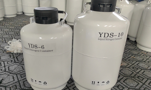 3L/6L/10L/15L/20L thiết bị Nitơ lỏng Tủ đông Tank <span class=keywords><strong>container</strong></span> nhân tạo thụ tinh tinh dịch lưu trữ tinh trùng đóng băng - Product Image 4