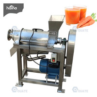 Professionele, zeer efficiënte industriële koudgeperste fruitsap-schroefpers, groentepers en sapdispenser