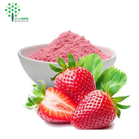 FD Aardbeipoeder of SD Aardbeienfruitpoeder Aardbeienjuicepoeder
