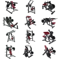 Biceps Curl Commercial Arm Curl Banc Prédicateur Curl Banc de gymnastique Biceps Formation Plaque assise Chargé Biceps Curl Preacher Machine