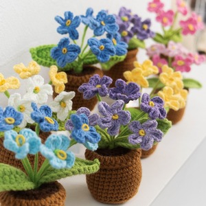 Mini-bassin tressé à la main DIY pour plantes, en fil crocheté, ornement de bureau, cadeau personnalisé pour la Fête des Enseignants - Product Image 3