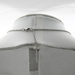 Collier de portrait d'animal de compagnie personnalisé avec urne en chaîne avec empreinte de patte pour les amoureux des chiens et des chats Bijoux de crémation Cadeaux pour les amoureux des animaux de compagnie - Product Image 6
