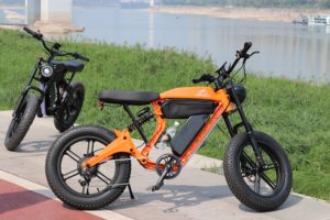 Vélo de ville à pneus larges avec batterie longue portée 48V, phare intégré sans balais, éclairage LED 7 vitesses, stock d'entrepôt, 750W - Product Image 3
