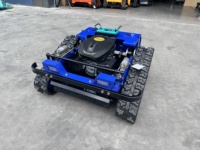 Tondeuse à gazon robotisée autopropulsée CE EPA 500 mm 800 mm 1000 mm, petite tondeuse à gazon à chenilles télécommandée, machine à couper l'herbe