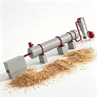 Séchoir rotatif à air chaud 9T, taille personnalisée, pour sciure de bois, copeaux de bois, déchets agricoles