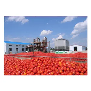 Tomato juicer production line