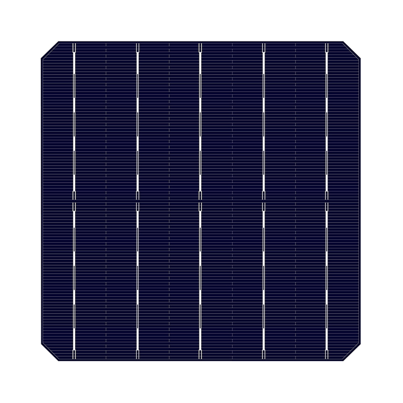 160w 320w Agri Pv Solar Farm