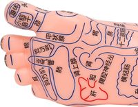 Modèle d'enseignement médical TCM, modèle de pied pour acupuncture, en PVC, modèle intelligent pour l'entraînement des infirmières en écoles de soins infirmiers, certifié CE/ISO