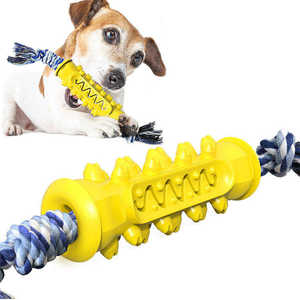Vente chaude Jouet à mâcher pour chien en TPR écologique moderne, jouet anti-fuite pour nourriture pour animaux de compagnie, bâtonnet à mâcher, nettoyage des molaires, brosse à dents - Product Image 5