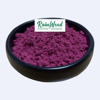 Poudre de Pitaya (fruit du dragon) Poudre de Pitaya de fruit Poudre de Pitaya rose