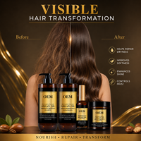 Kit de Cuidado Capilar con Aceite de Argán al por Mayor, Champú de 500 ml, Acondicionador de 250 ml, Mascarilla Capilar de 100 ml, Suero para Marcas de Belleza, Suministro OEM de Fábrica