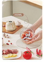 Mini hachoir électrique rechargeable par USB, coupe-légumes, hachoir à gingembre, hachoir à ail, hachoir à viande, robot culinaire, gadget de cuisine