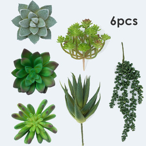 <span class=keywords><strong>Pas</strong></span> cher en gros décoratif mini <span class=keywords><strong>cactus</strong></span> assortiment extérieur intérieur suspendus arrangement plantes artificielles succulentes - Product Image 2