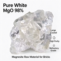 Matériaux réfractaires à 98 %, magnésite/magnésia blanche à gros cristaux fusionnés pour la production de briques MgO-C