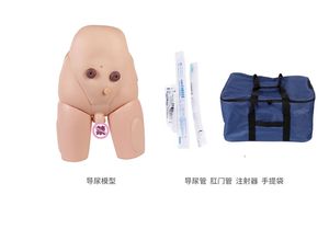 Modèle médical avancé de haute qualité pour la formation en soins infirmiers, avec parties génitales masculines, cathétérisme urétral et lavement, couleur chair - Product Image 5