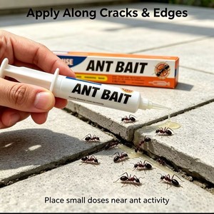 Gel Atrayente para <span class=keywords><strong>Hormigas</strong></span>, Elimina Insectos Domésticos, Mata <span class=keywords><strong>Hormigas</strong></span>. Control de plagas de <span class=keywords><strong>hormigas</strong></span> blancas específicas para cocinas y restaurantes - Product Image 3
