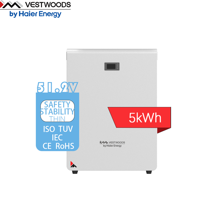 LiFePO4 Home Energy Storage Lithium Battery LFP 5kWh 51.2V 100Ah Power Storage System Lithium Ion Battery