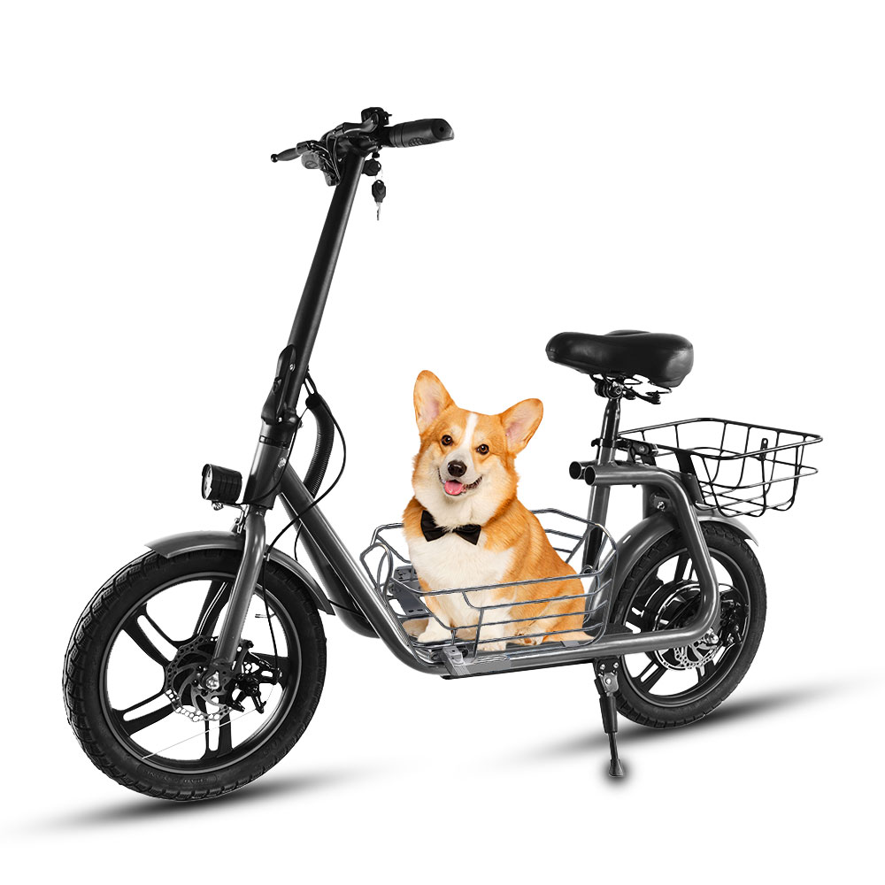 Shop for Our Army Scooters Reliable and Versatile