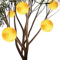 Boule de lune LED personnalisable, durable, réutilisable, pour intérieur/extérieur, pour les fêtes de Noël, classée IP44, en plastique