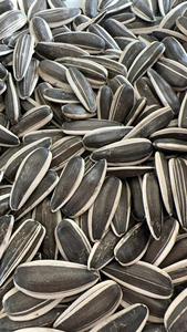 Noyaux <span class=keywords><strong>de</strong></span> <span class=keywords><strong>tournesol</strong></span> <span class=keywords><strong>de</strong></span> qualité supérieure biologiques et sans OGM Aliments secs et séchés <span class=keywords><strong>pour</strong></span> <span class=keywords><strong>oiseaux</strong></span> dans un emballage en vrac - Product Image 6