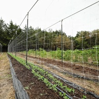 Service de découpe de filet de treillis robuste en PEHD, maille 10x10cm, pour le soutien des plantes de jardin, la culture des légumes et l'entraînement des plantes grimpantes
