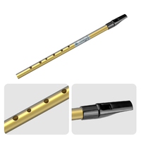 NAOMI Golden D Key Irish Whistle Penny Whistle 6 Holes Flute Aluminum Alloy Whistle Fipple Flute Woodwind Instrument