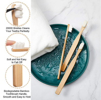 Brosse à dents en bambou naturelle, 10 pièces, avec étui en bois en bambou, 100% cheveux biodégradables, sans BPA, pour enfants et adultes