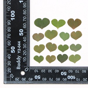 Amor trébol hoja planta espécimen pintura Diy Material en relieve marcapáginas goteo pegamento foto marco flor seca hoja al por mayor - Product Image 6