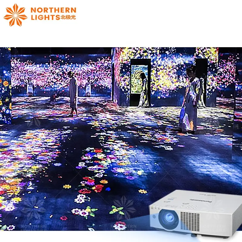 Digital Art Installation Projection Mapping Museum Exhibition immersive projector Wall Projection Experience