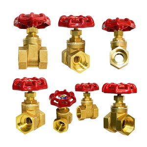 Válvula de Compuerta Hidráulica Manual de Latón de 2 Pulgadas para Gas, Agua y Aceite, Precio de Fábrica, con 1 Año de Garantía - Product Image 1