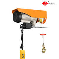 Mini palan électrique 220V nouveau 200kg-400kg câble métallique grue ascenseur Machine outils de levage pour hôtels