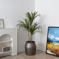 Jardinière auto-arrosante en PP, finition cuite, design moderne et arrondi, indicateur de niveau d'eau intégré, idéale pour le bureau et l'intérieur