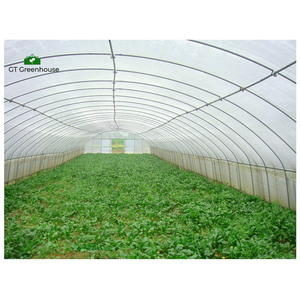 Tunnel Agricolo a Serra/Serra per Pomodori in Vendita - Product Image 1