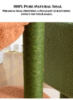 Meilleures ventes : Arbre à chat style cactus classique et mignon en bois et sisal, avec emballage carton, pour griffer et faire la sieste