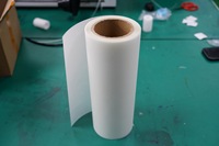 MT COLOR A3 DTF Rouleau de film de transfert 30-60cm Dtf Film et poudre pour l'impression par transfert textile