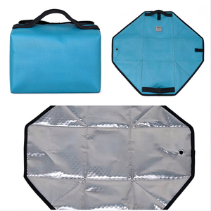 Sac Isotherme Multifonctionnel en Polyester et Feuille d'Aluminium, Conception Plate Spéciale, Prix Compétitif OEM, Vente en Gros - Product Image 5