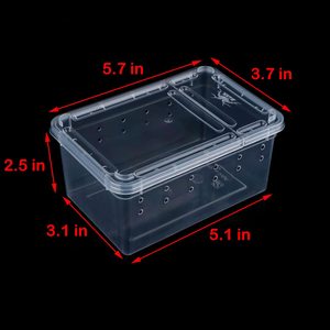 <span class=keywords><strong>Mini</strong></span> 5,1 "L X 3,1" W X 2,5 "H Venta al por mayor Nuevo diseño Buen precio Caja de transporte de plástico Caja de cría - Product Image 5