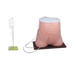 Modèle de dialyse péritonéale, modèle de démonstration d'opération de dialyse péritonéale, emplacement standard de la fistule, fluide simulé - Product Image 1