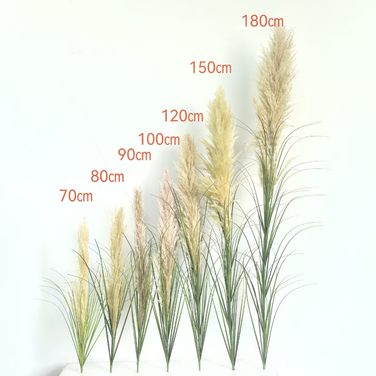 หัวสีขาวพร้อมใบสีเขียว