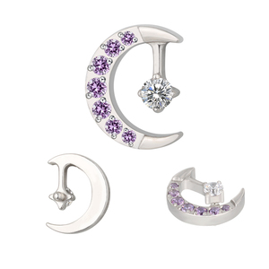 Juego de CNC de titanio G23 para Piercing en el cuerpo Moon CZ Center 16G Labret roscado internamente Helix Earring Zircon Bodas Compromisos - Product Image 6