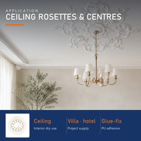 Médaillon de plafond sculpté en PU, ensemble de panneaux centraux pour roseau de plafond