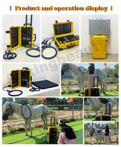 Appareil professionnel de thérapie magnétique PEMF pour chevaux, boucle PEMF pour soulager la douleur des chevaux, thérapie par champ électromagnétique physique - Product Image 6