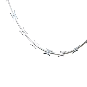 Vente d'usine Fil de fer barbelé en acier inoxydable Fil de fer barbelé pour la protection anti-escalade et anti-vol - Product Image 1