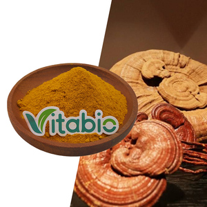 Extrato Orgânico de Cordyceps Sinensis Militaris VitaBio, Extrato Herbal em Pó Marrom de Grau Alimentício, Extração Líquido-Sólido - Product Image 1