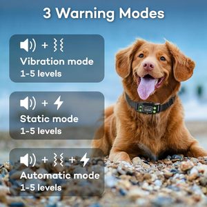 Collier Électrique Sans Fil Auotac GPS pour Chien, Clôture Virtuelle Rechargeable, Portée 25-999 Yards, Étanche IPX7, pour Chiens de Taille Moyenne à Grande - Product Image 6
